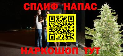прущие грибы Вышний Волочёк