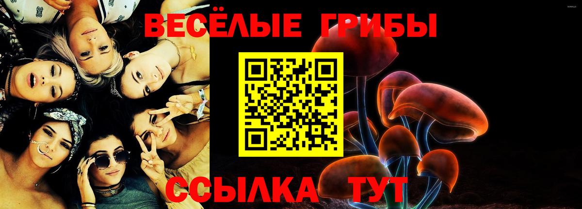 Псилоцибиновые грибы Psilocybe  Вход с VPN  Псилоцибиновые грибы Psilocybe  даркнет сайт  Артём 