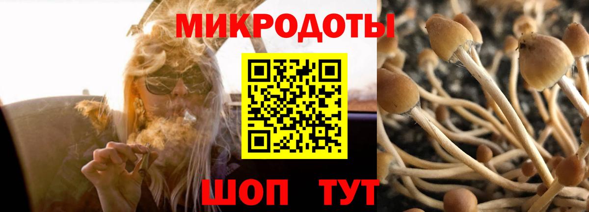 Псилоцибиновые грибы Psilocybe Артём